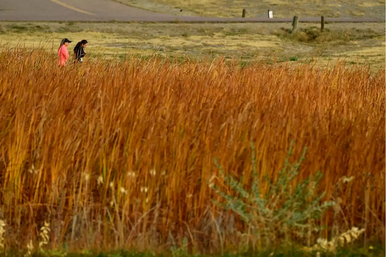 Denver weather: Red flag conditions coming Wednesday with temperatures almost to 90s