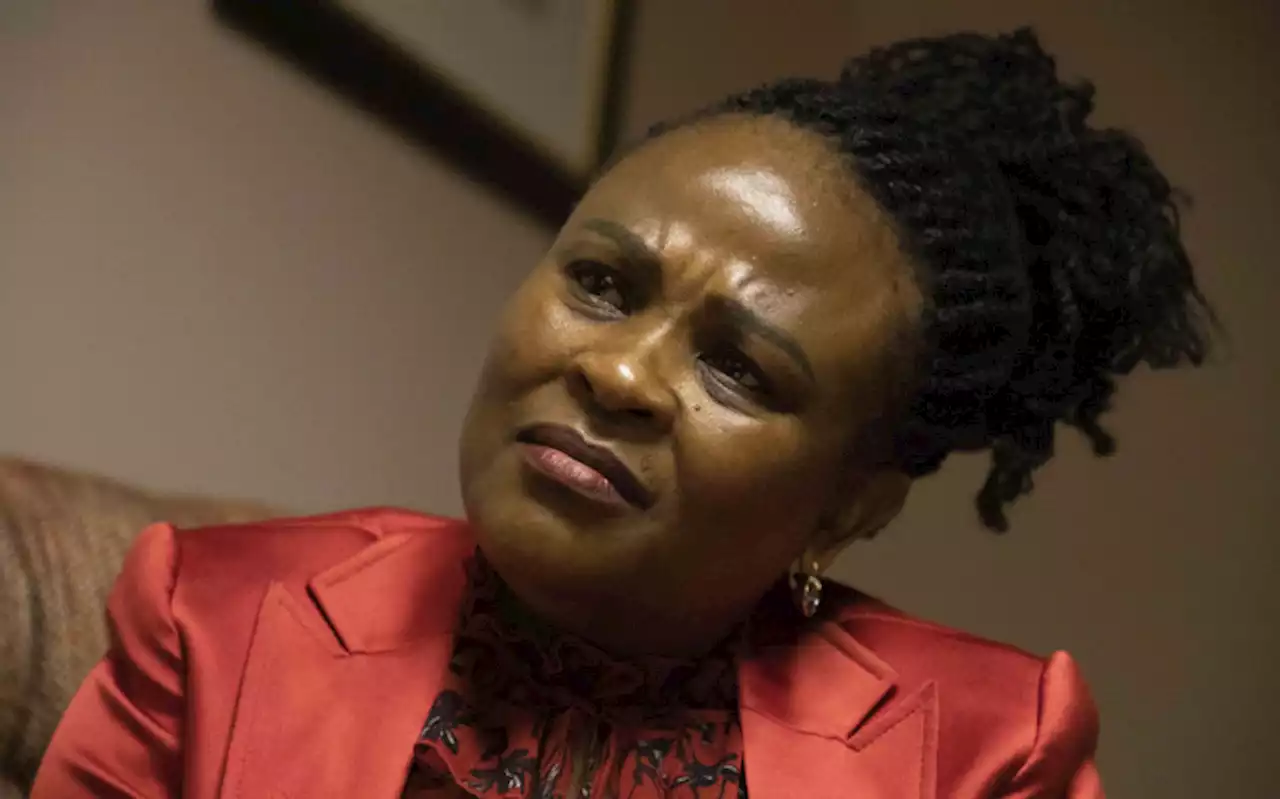 Parly plans to proceed with Mkhwebane inquiry despite court bid