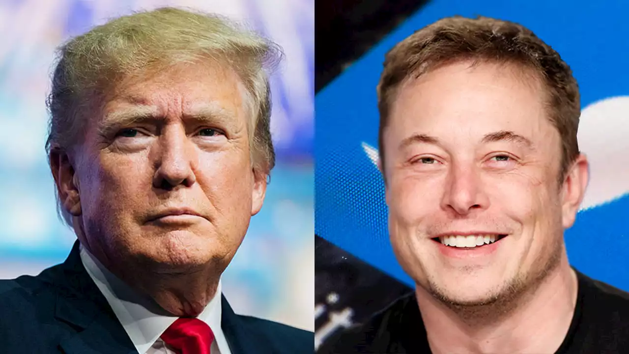 ACLU backs Trump's return to Twitter after Elon Musk says he'd lift ban