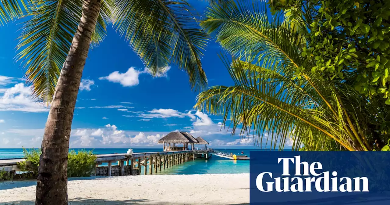 Tui more than halves losses as it predicts ‘strong travel summer’