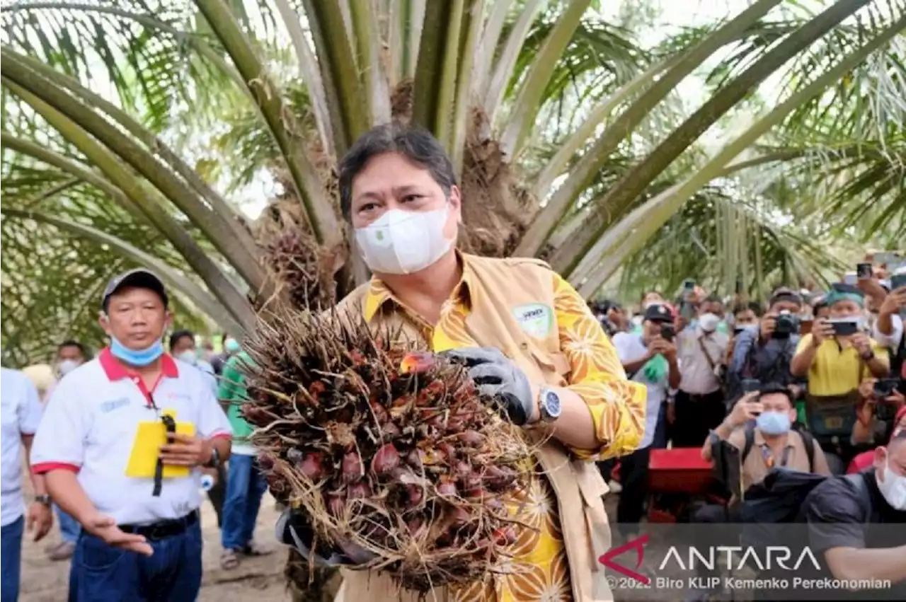 Golkar Jamin Agenda 2024 Tak Ganggu Kerja Menko Airlangga