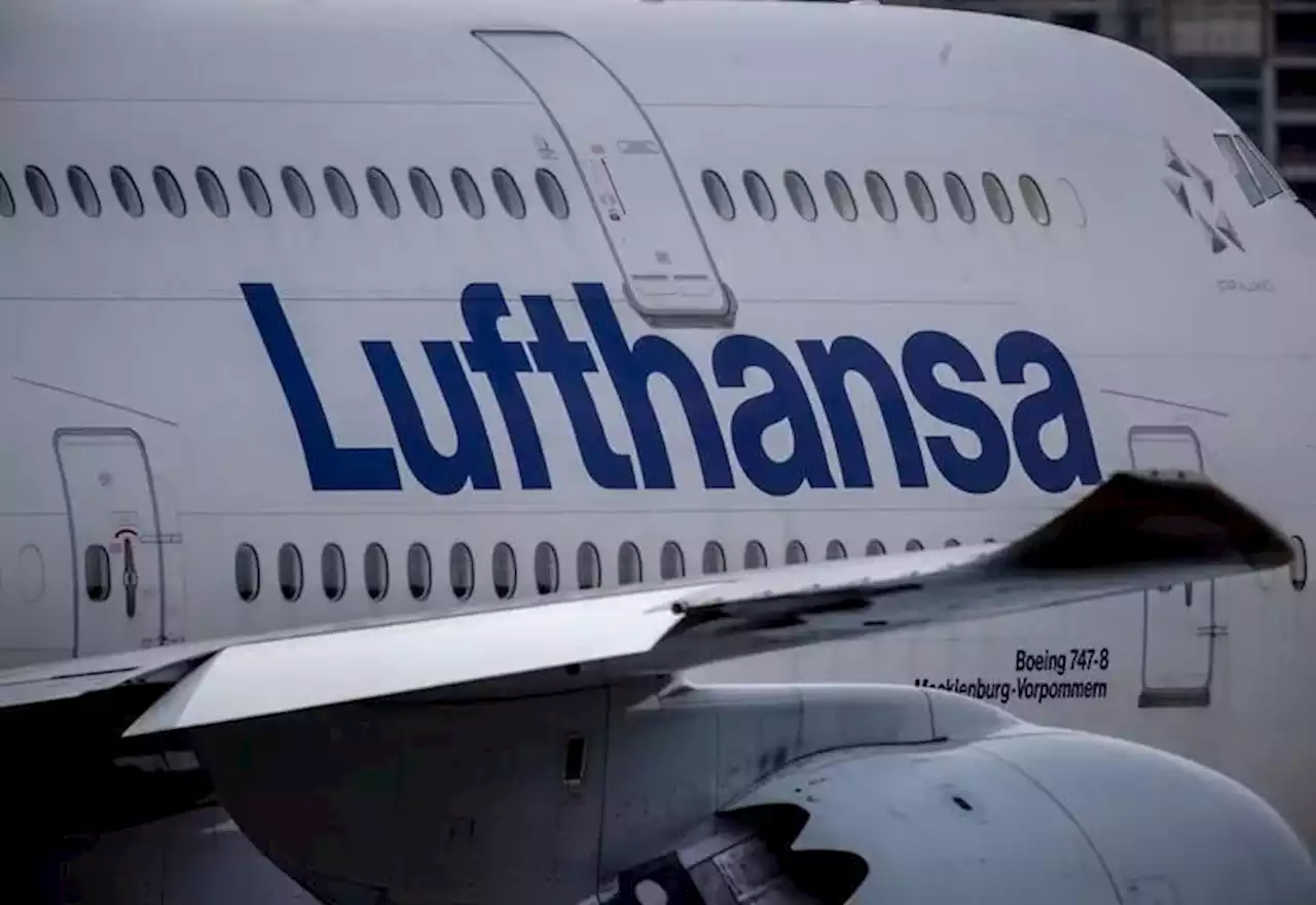 Denuncia por discriminación: Lufthansa impidió que más de 100 judíos ortodoxos aborden un vuelo y luego pidió perdón