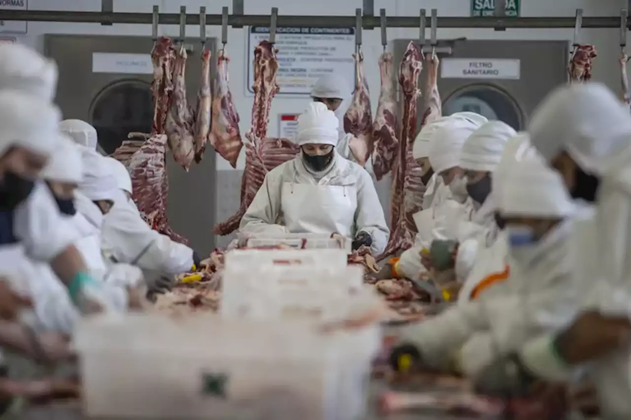 El silencioso pero potente crecimiento de las exportaciones de una carne bajo un rito musulmán