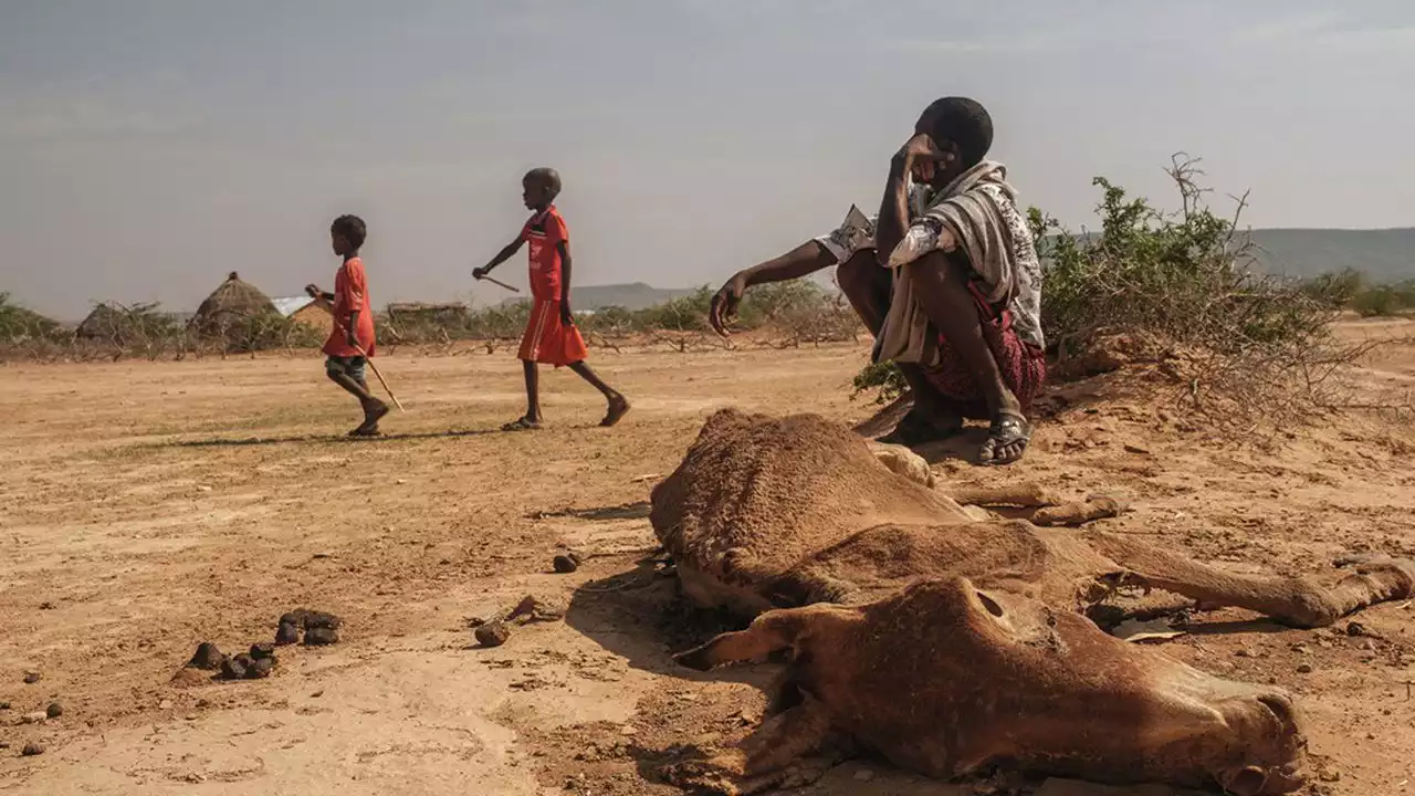 Climat : la sécheresse menace la majeure partie de la planète