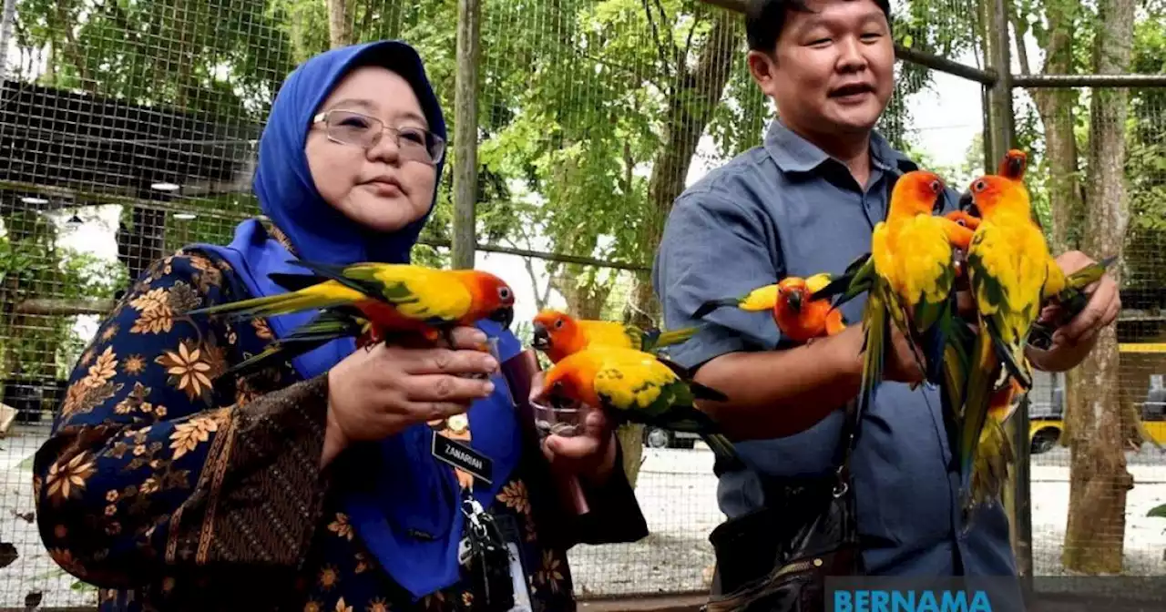 Various new attractions to lure visitors at Melaka Zoo | Malay Mail