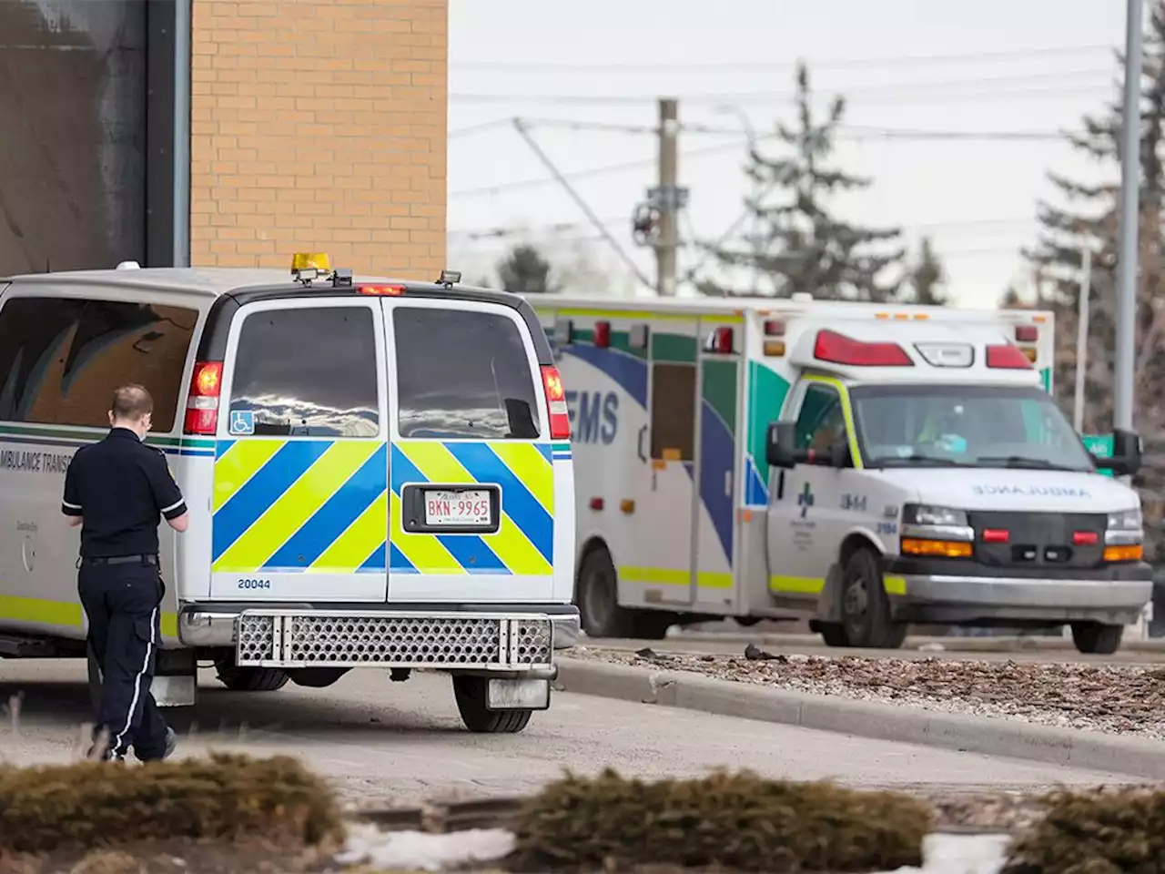 'Massive increase' in deaths among young Albertans during pandemic, study finds