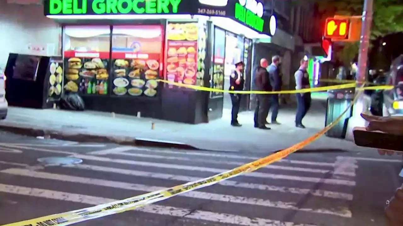 Teen Shot and Killed Outside Deli in Bronx: Police