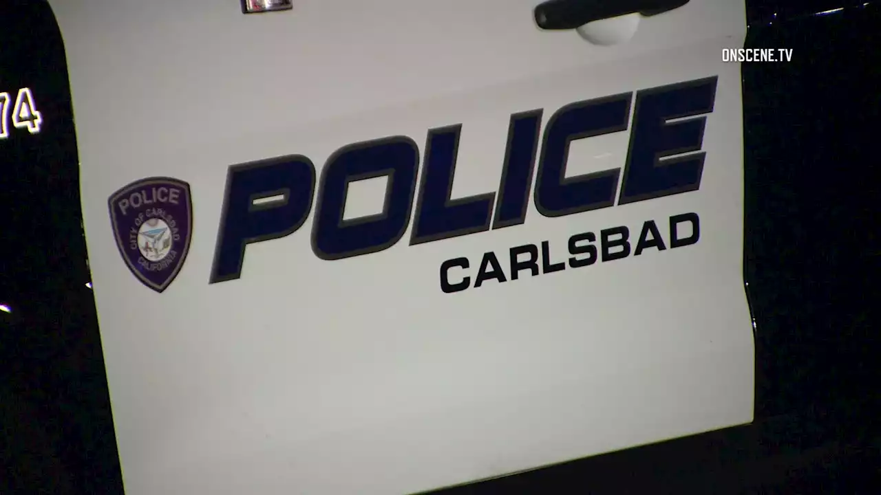 Teen Sex Predator Arrested After Carlsbad Mall Attacks: Police