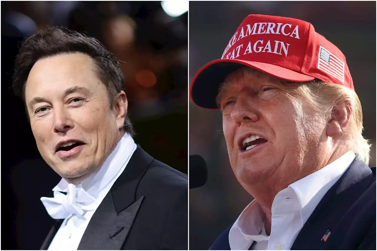 Elon Musk and Dogecoin co-founder ridicule reaction to Trump Twitter return