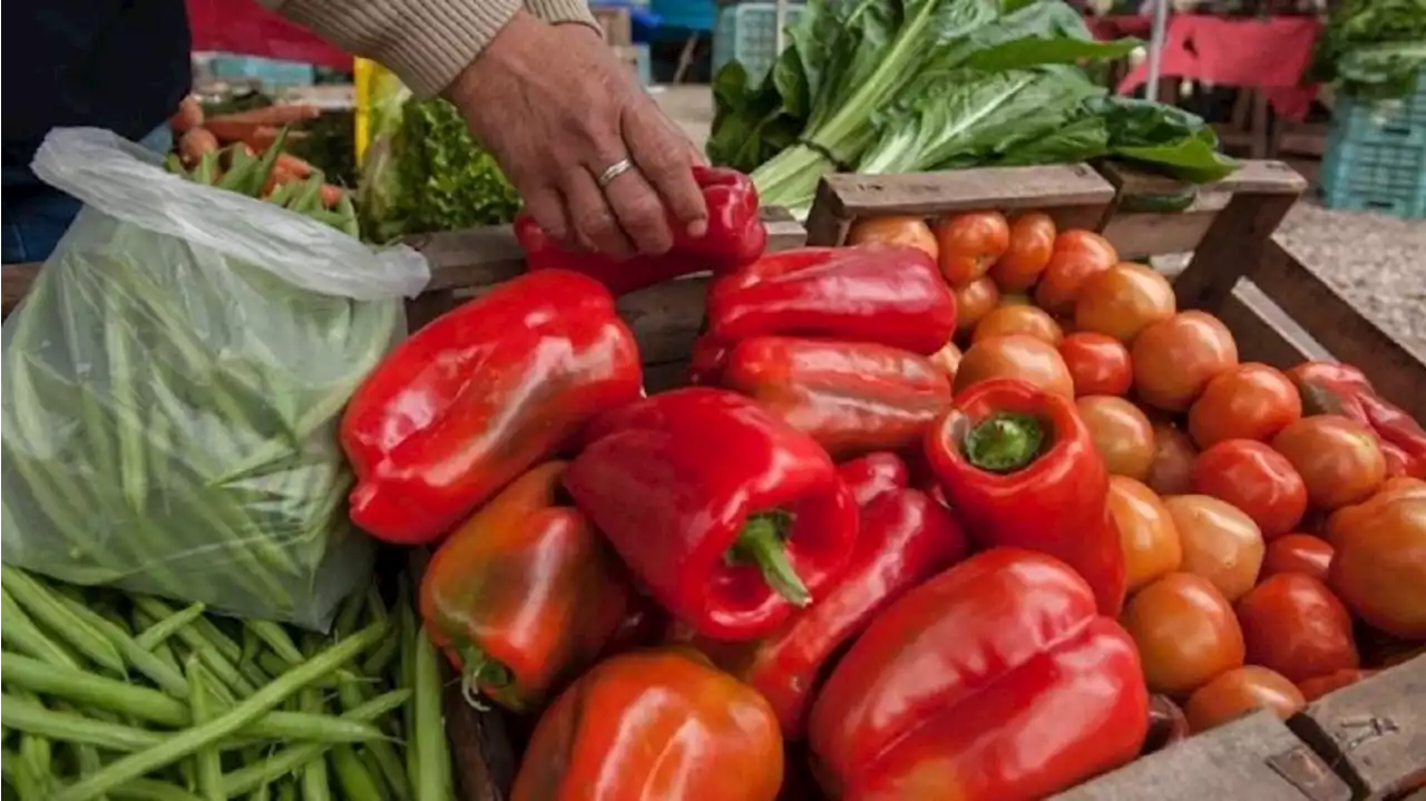 Antes de que se conozca la inflación de abril, fijaron nuevos precios para frutas y verduras en supermercados