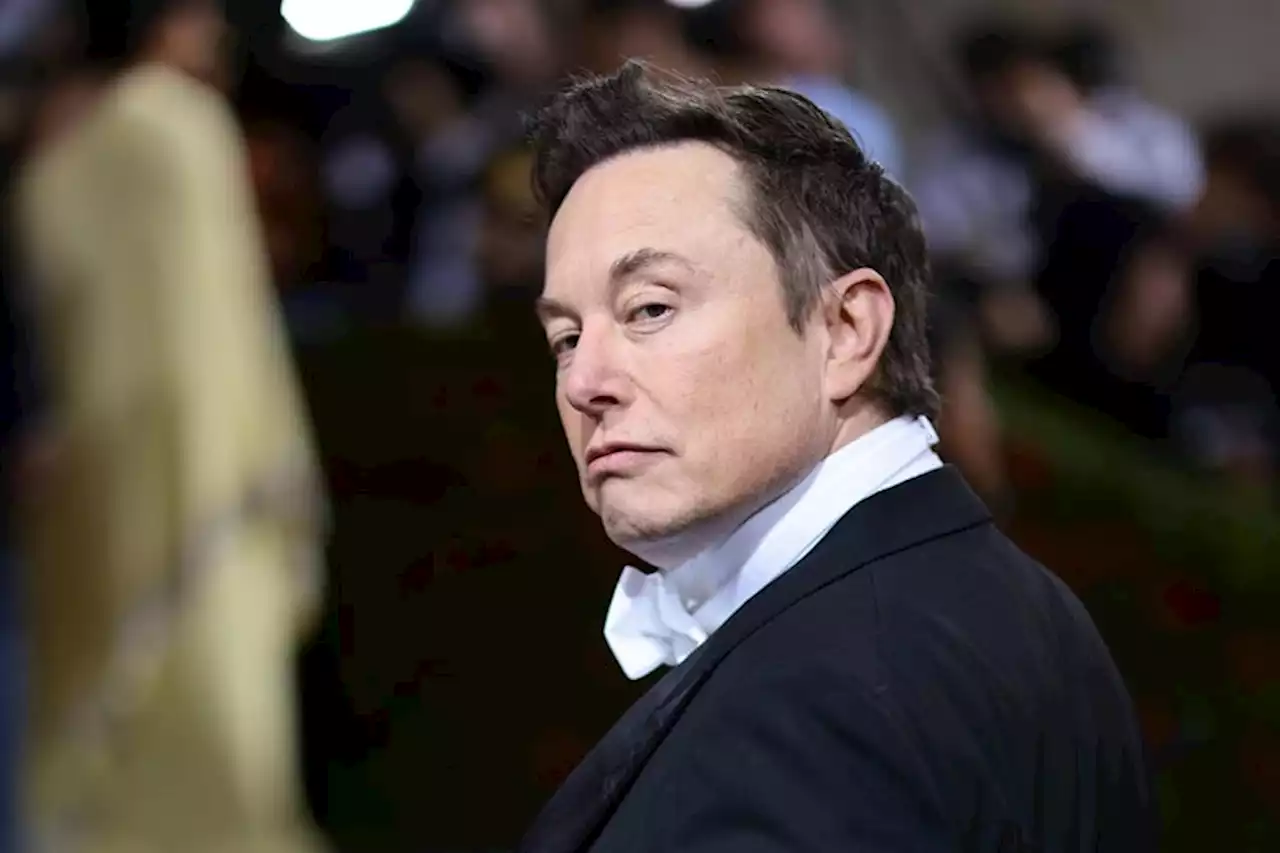 The One Group That Can Stop Elon Musk From Unbanning Trump on Twitter