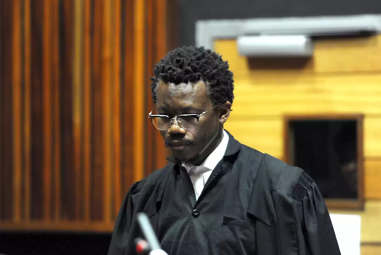 Apartheid-era flag represents white domination over black bodies, argues Ngcukaitobi