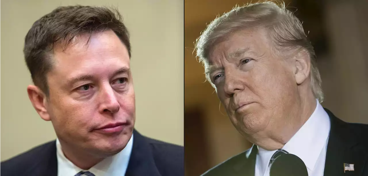 Elon Musk promises to reverse the permanent Twitter ban on Trump