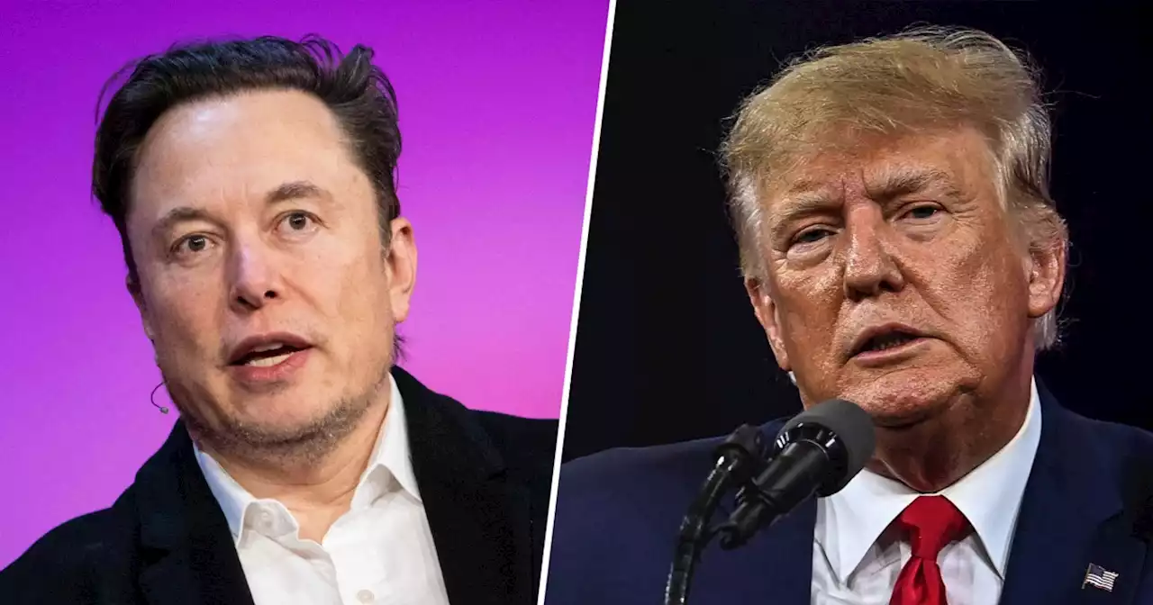 Elon Musk says he would allow Donald Trump back on Twitter