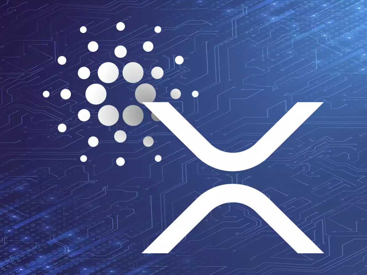 Cardano and XRP Beat Coinbase's Whole Market Capitalization Following Earnings Report