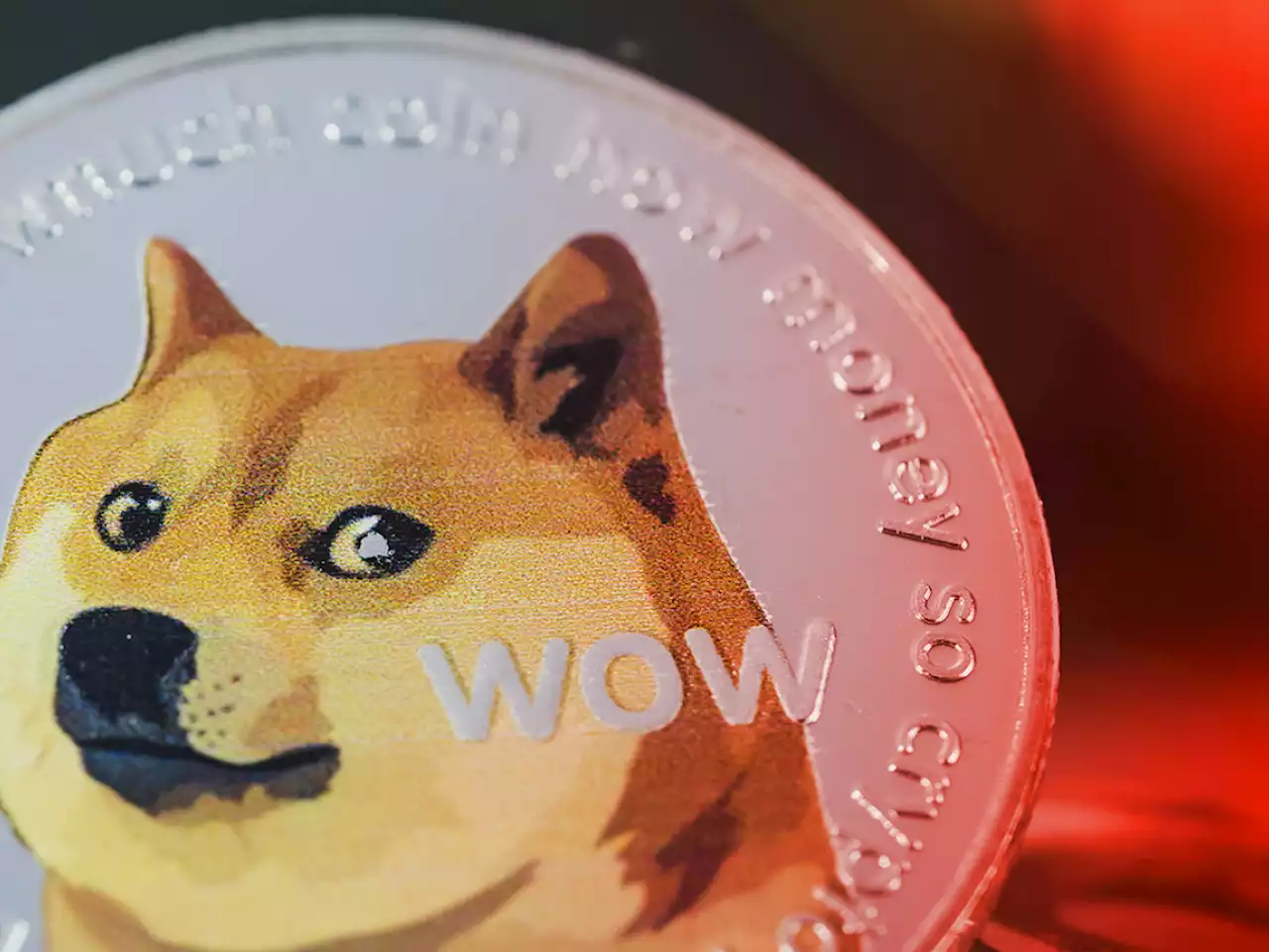 Dogecoin Now Down 90% from Musk-Fueled Price Peak