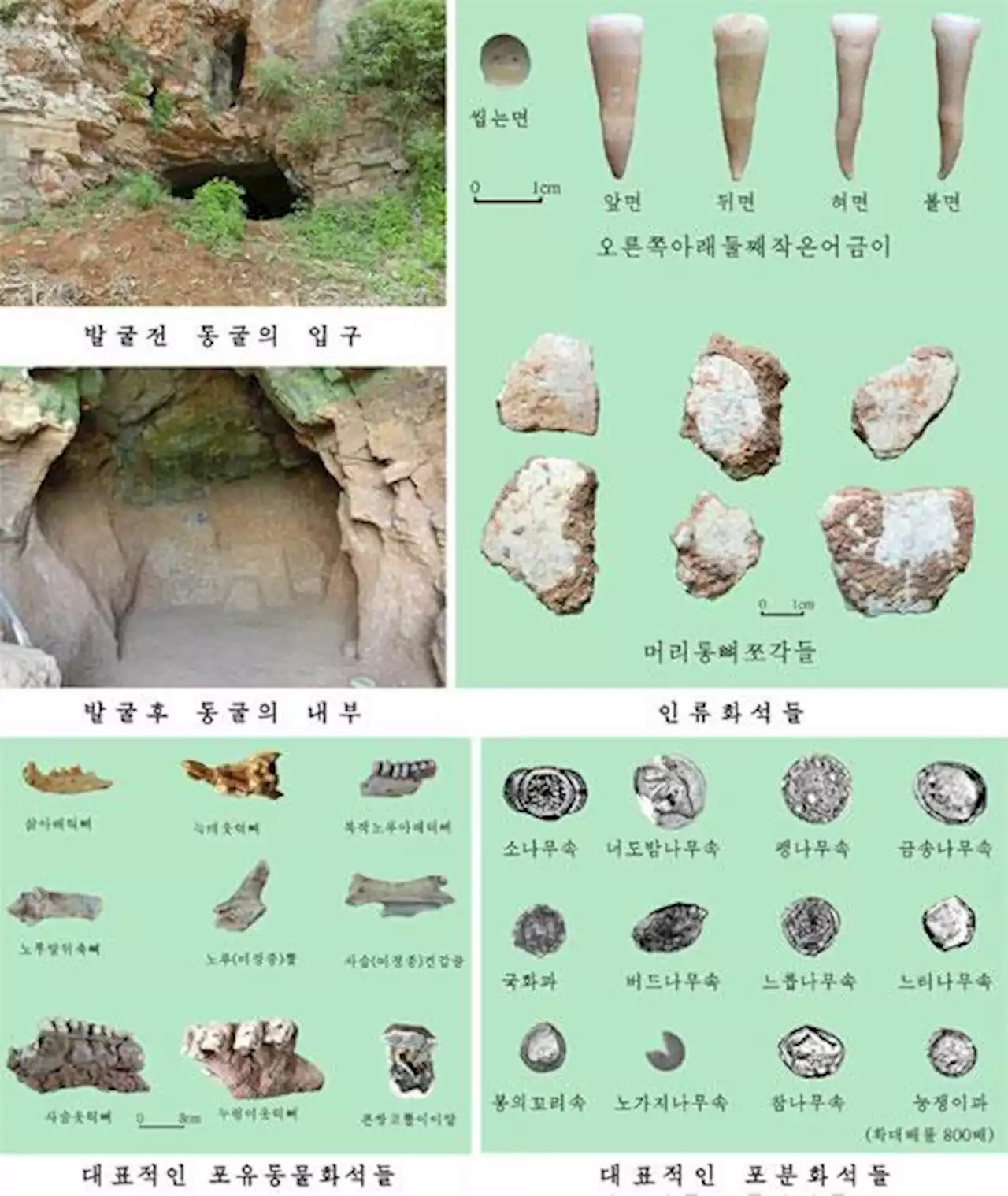 북한 '평양 구석기 동굴서 2만년 전 인류 화석 발견' | 연합뉴스