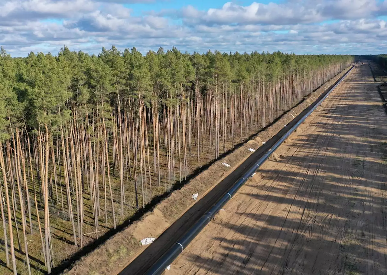 Nach Gas-Stopp: Kriegt Berlin noch russisches Gas?