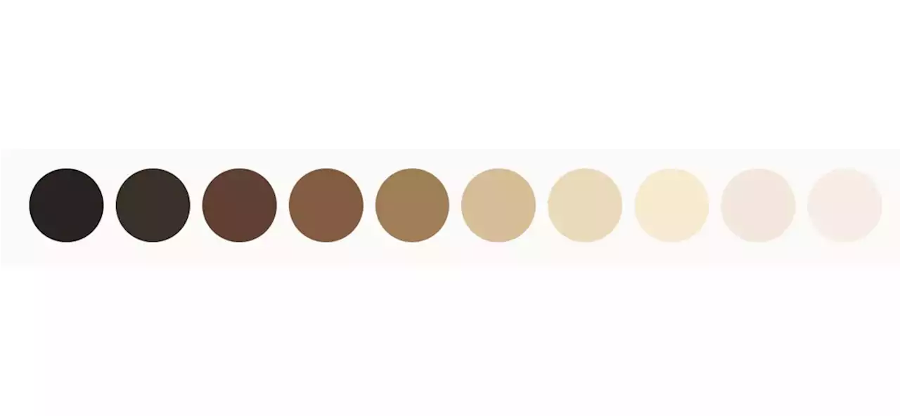 Google unveils new 10-shade skin tone scale to test AI for bias - BusinessWorld Online