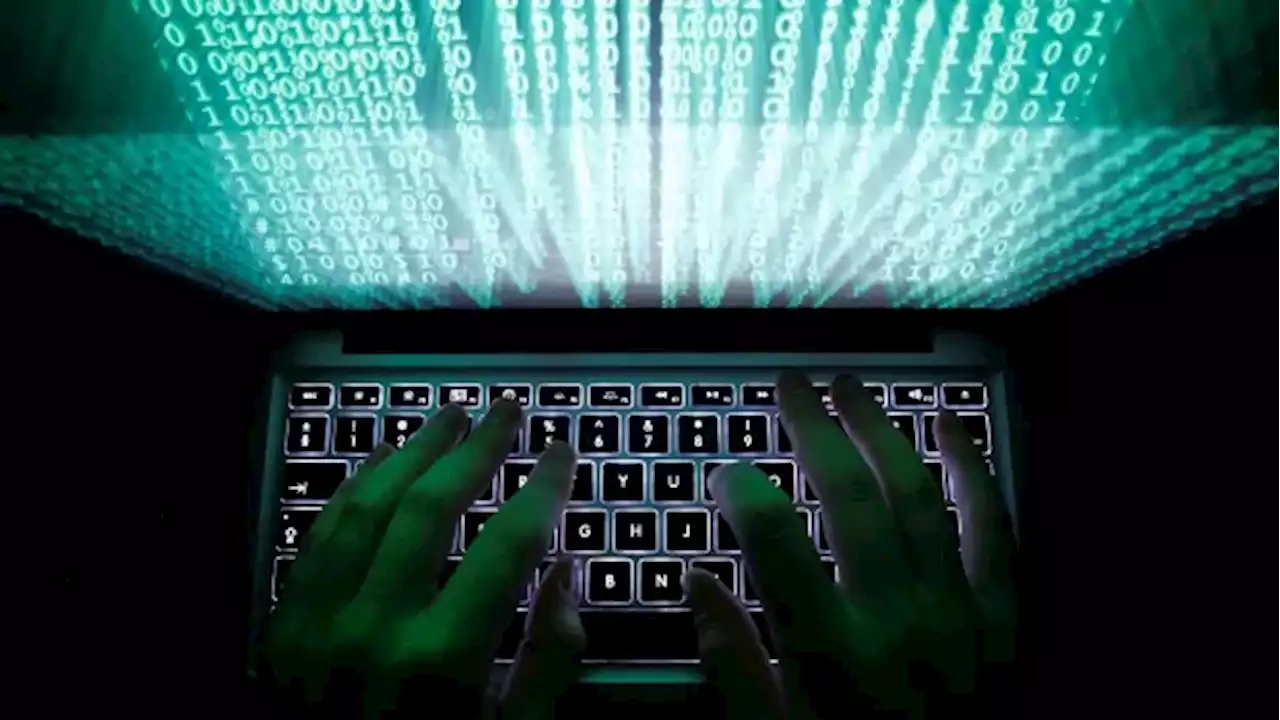 Long before N.L. cyberattack, report flagged flaws in system | CBC News