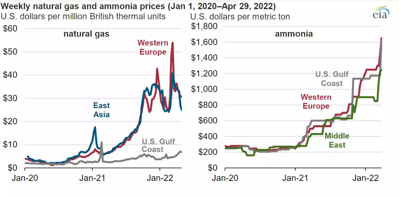 U.S. Ammonia Prices Rise in Response to Higher International Natural Gas Prices