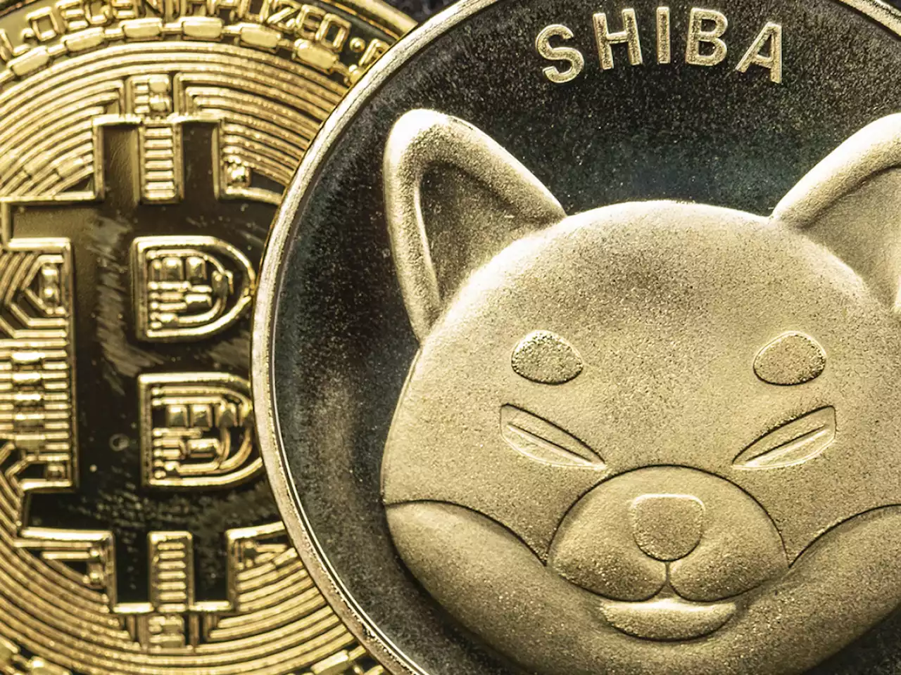 Shiba Inu, Bitcoin Now Accepted as Payment by Minnesota-Based Jewelry Shop via BitPay