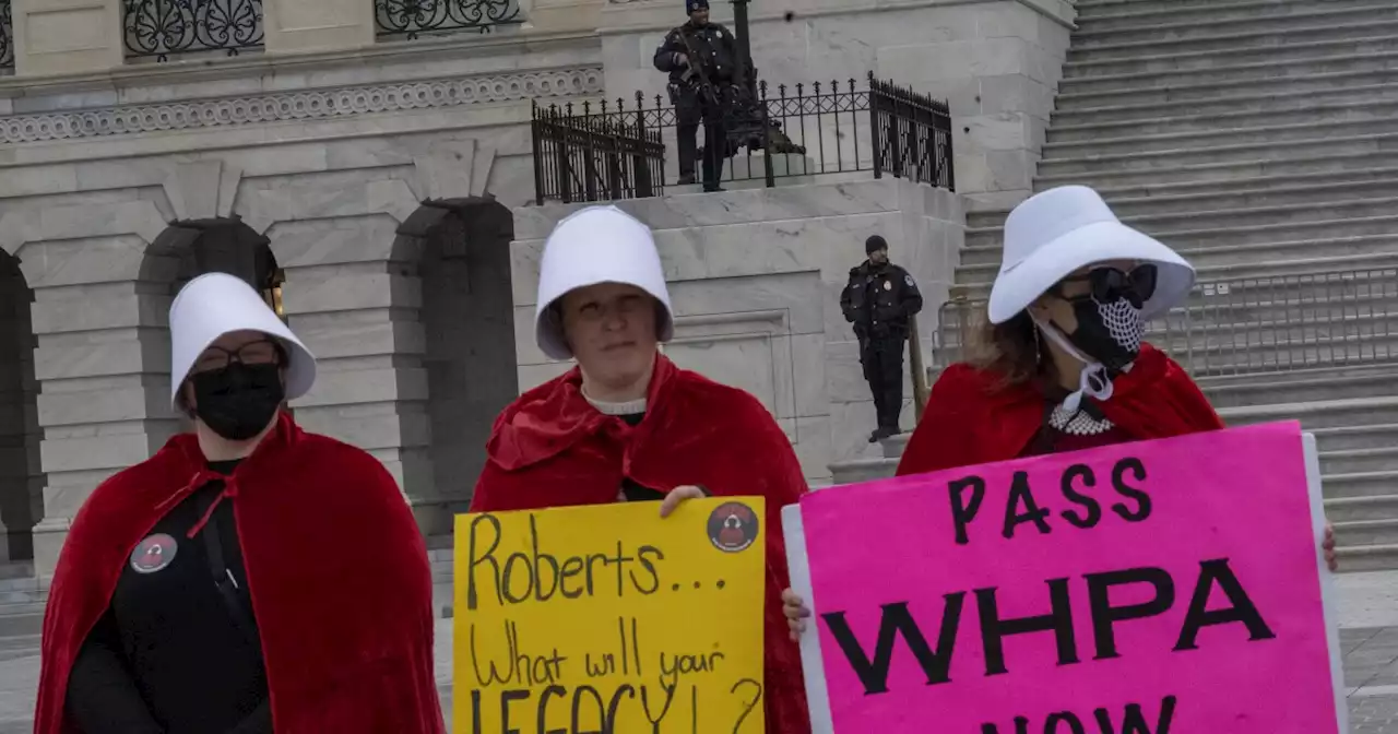 WATCH: Justice Amy Coney Barrett's neighbor tells protesters to 'go home and get a family'