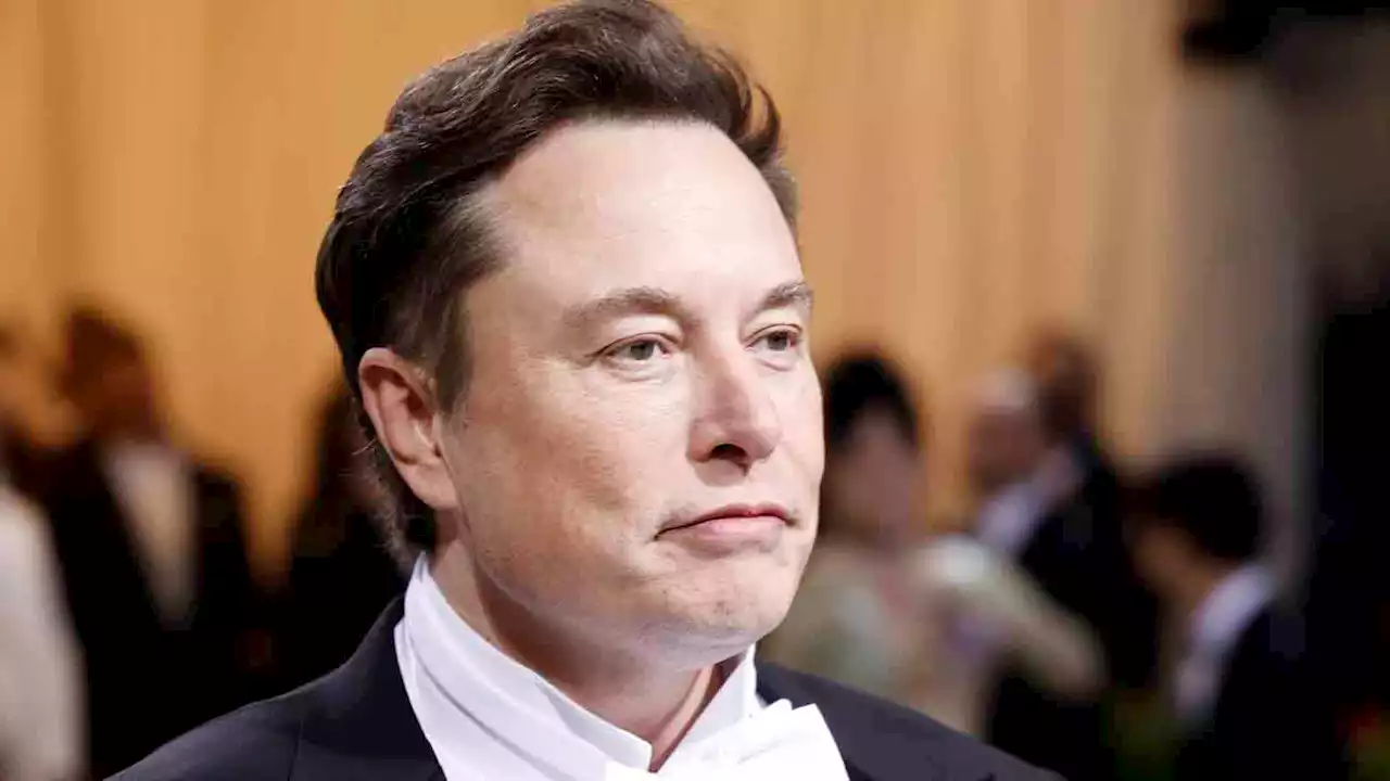 Musk dice que levantará el veto a Trump si se cierra su compra de Twitter