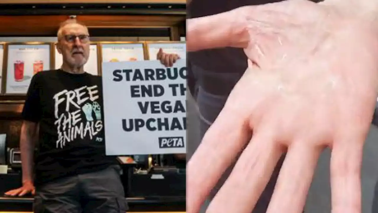 James Cromwell, 'Succession' actor, glues hand to Starbucks counter to protest vegan milk charges