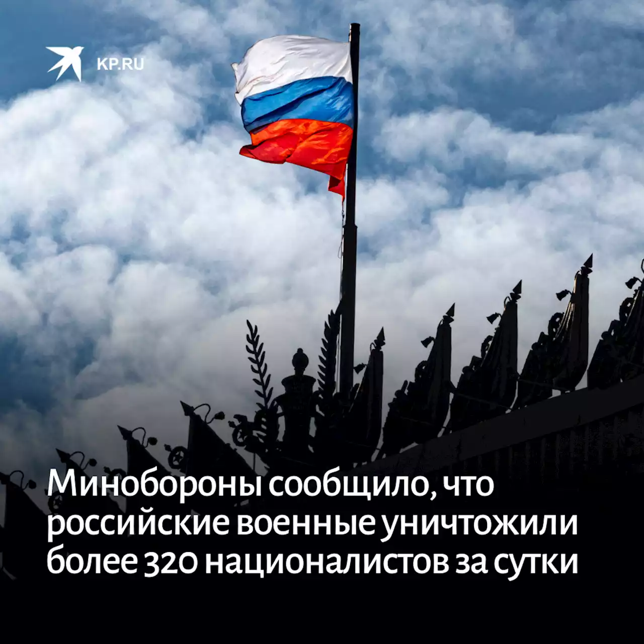 Минобороны сообщило, что российские военные уничтожили более 320 националистов за сутки