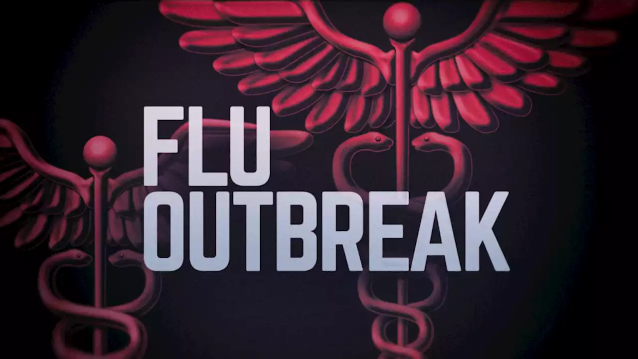 Late-season Influenza cases surge in San Diego County -