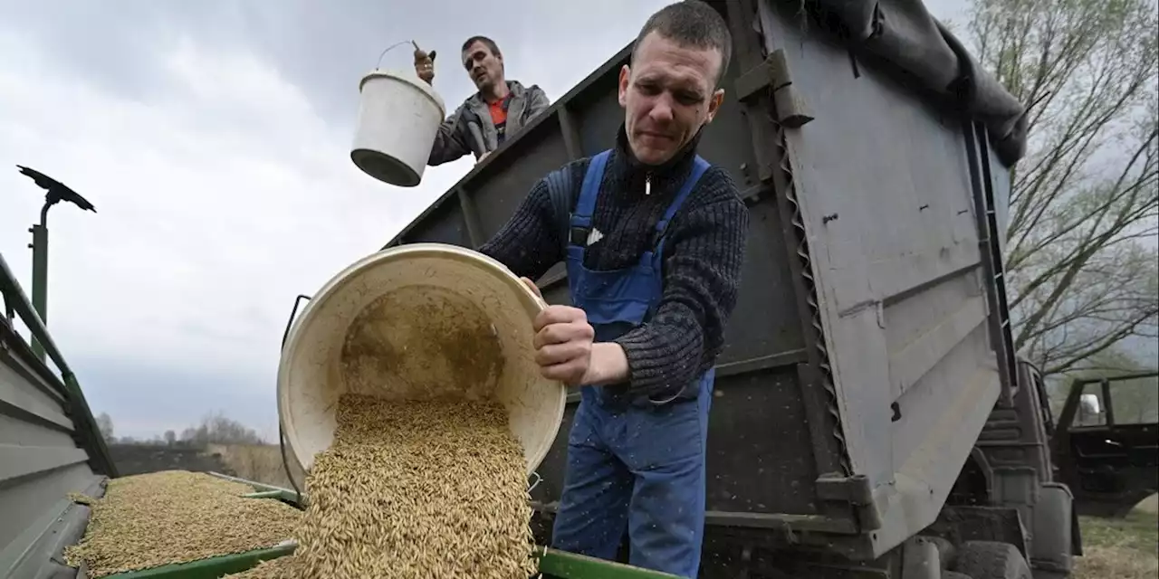 Ue, piano d'emergenza per l'export di cereali dall'Ucraina