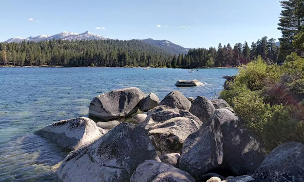 Palo Alto man drowns in Lake Tahoe