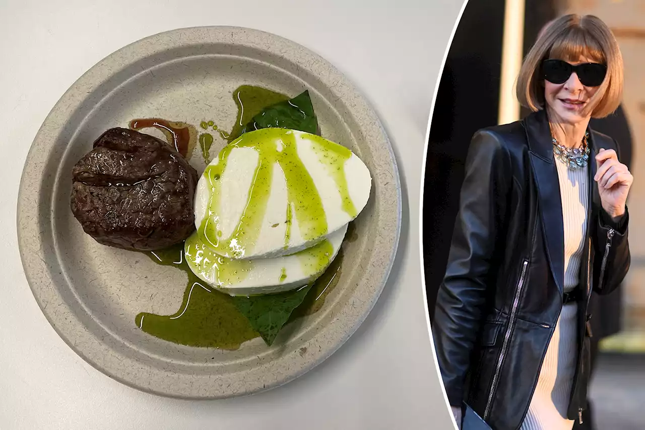 Anna Wintour’s weird $77.33, vegetable-less lunch revealed