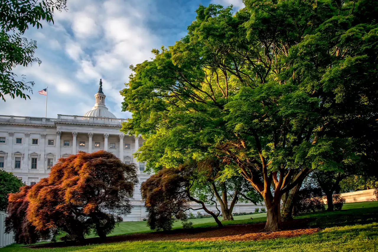 D.C.-area forecast: Mainly dry today before shower chances increase Friday into the weekend