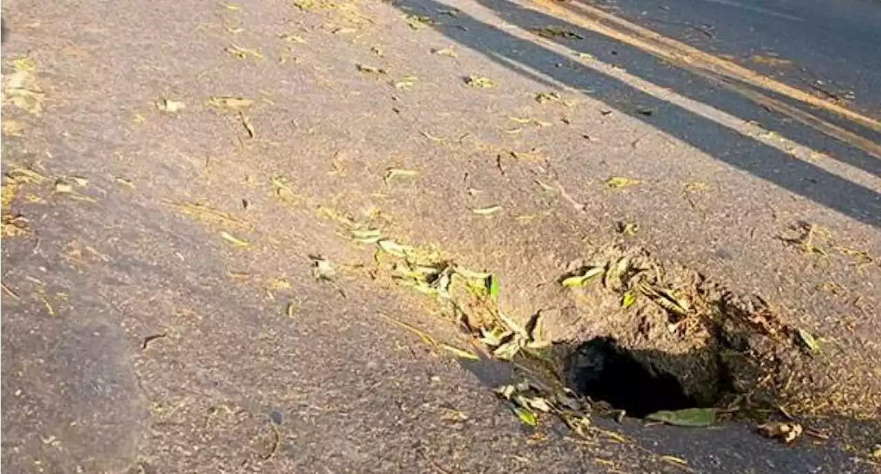 Volverán a habilitar la vía Ibagué-Alto de La Línea; duró algunos días cerrada - Pulzo