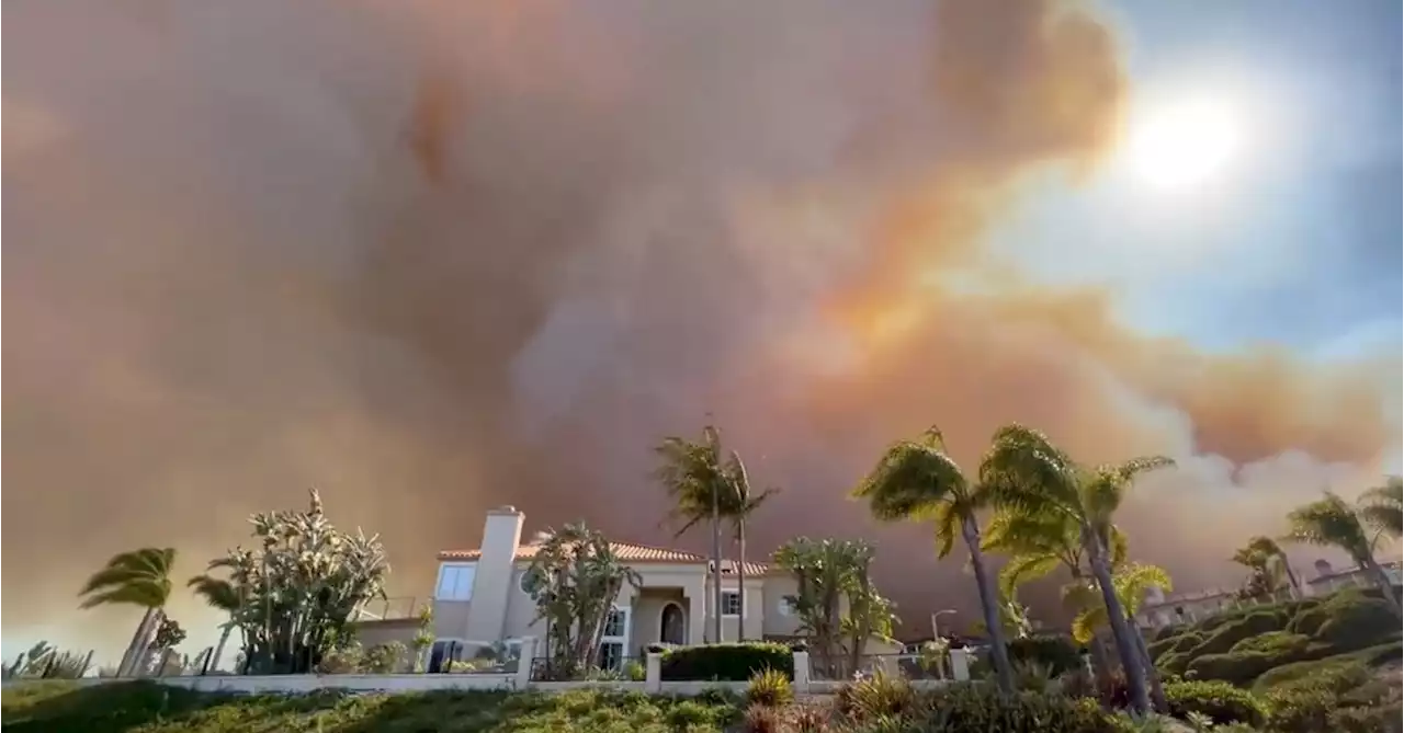 Fire burns at least 20 homes in wealthy California town of Laguna Niguel