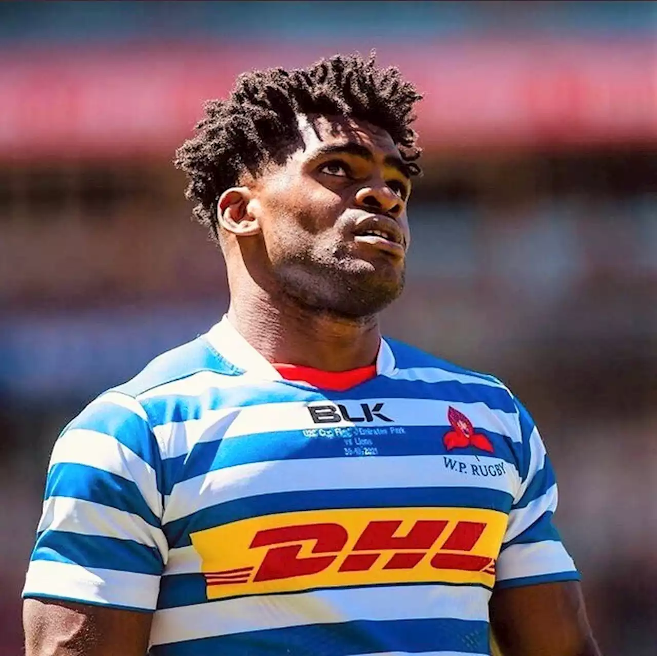 Promising wing to make Western Province debut against Pumas in Nelspruit