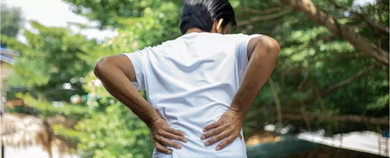 The Link Between Inflammation And Chronic Back Pain May Not Be What We Thought