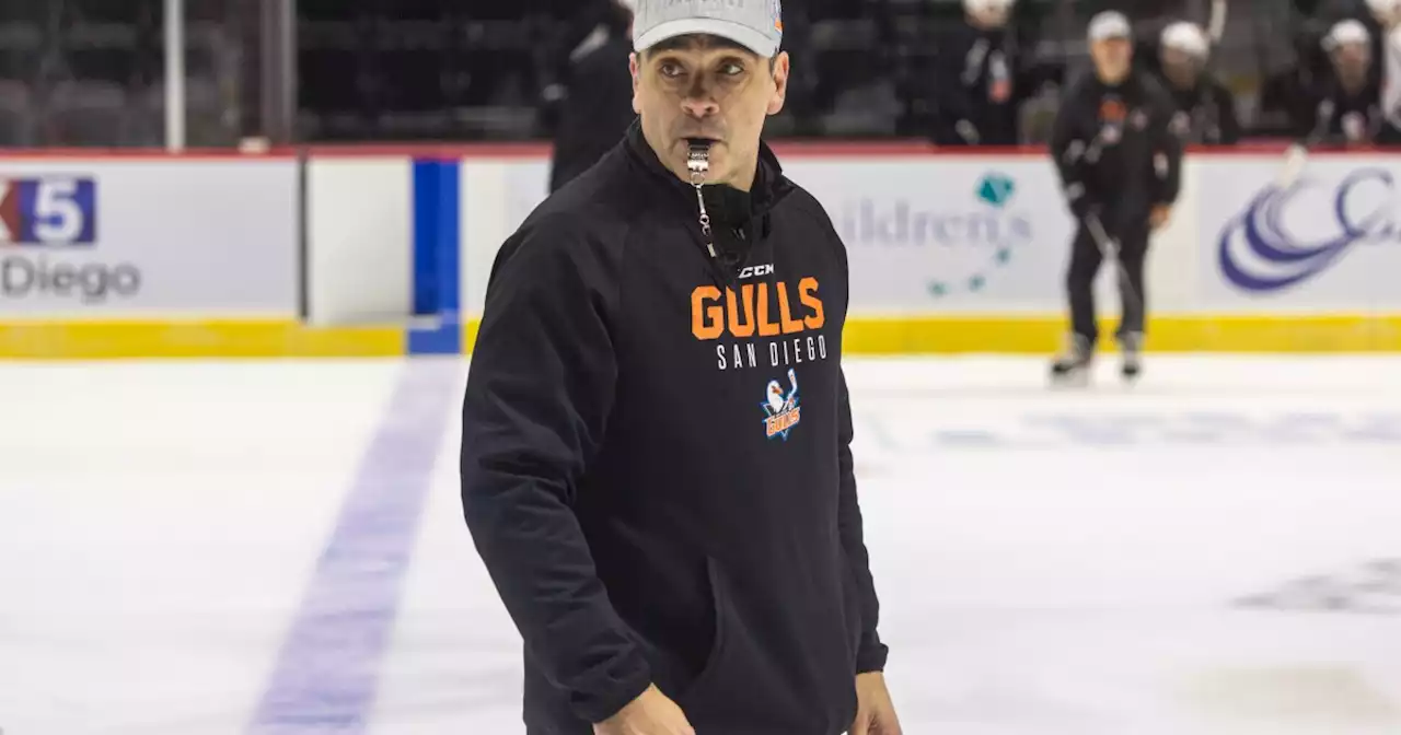 San Diego Gulls fire head coach Joel Bouchard, both assistants