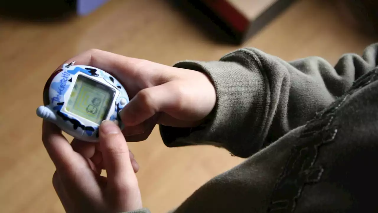 Das erste Tamagotchi: Die Geschichte über die Beziehung zwischen Mensch und elektronischem Haustier