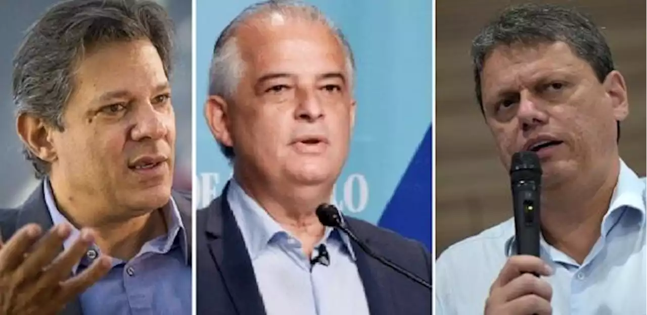 Genial/Quaest em SP: Haddad tem 30%; França, 17%, e Tarcísio, 10%