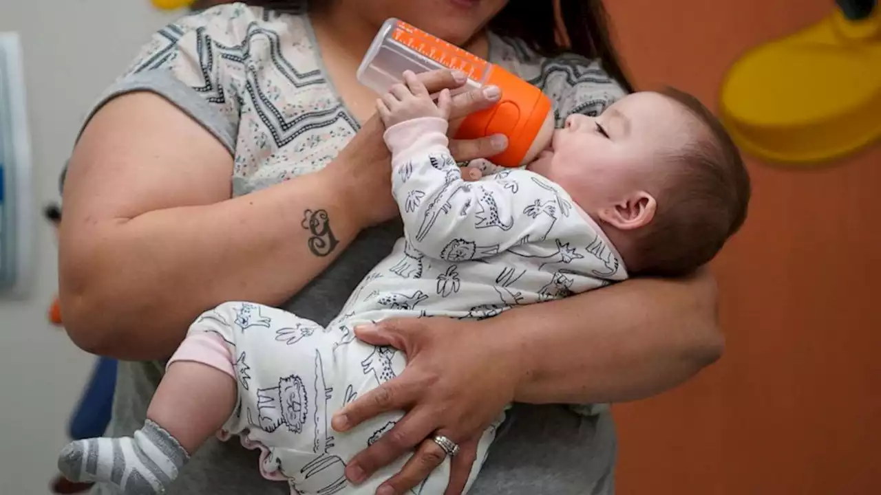 House Oversight to announce hearings into baby formula shortage: Exclusive