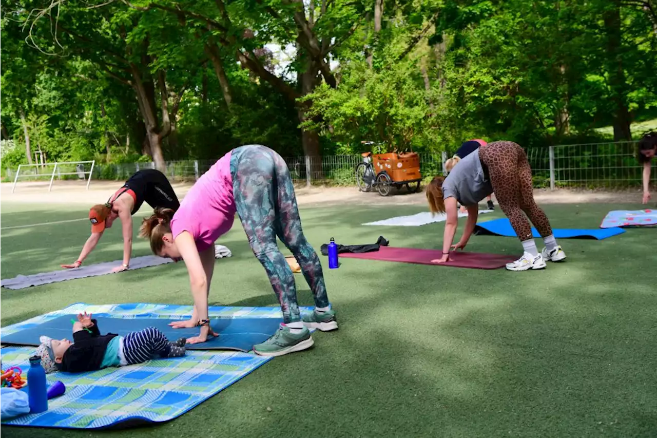 Dieser Sport ist in Berliner Parks verboten - B.Z. – Die Stimme Berlins