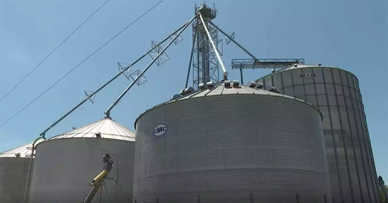 Rising prices and inflation hit North Texas farmers and ranchers hard