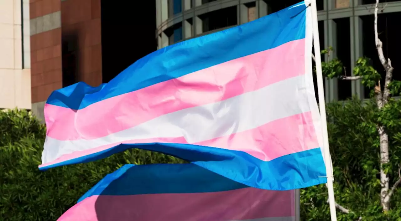 Texas court allows some investigations into families of transgender youth to resume