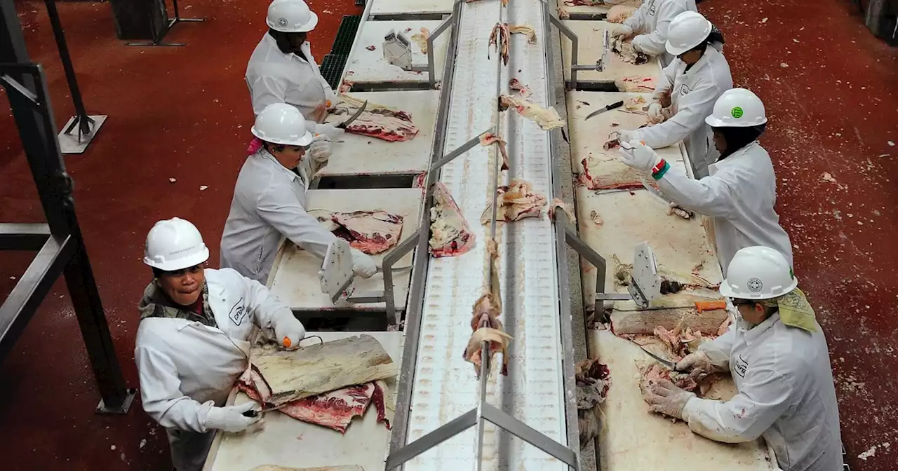 House Panel Exposes How 'Shameful' Meatpackers Put Profits Over Worker Health During Pandemic