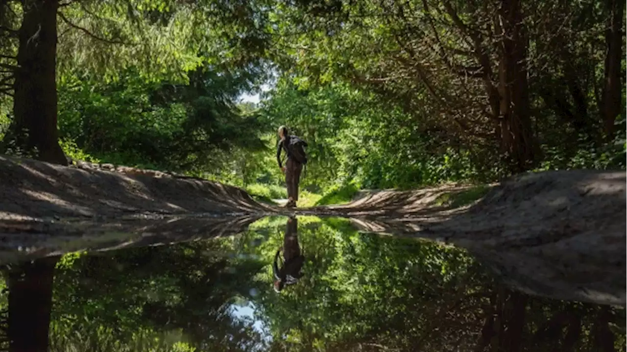 Parks Canada capital budget falls as agency works on new plan for crumbling assets