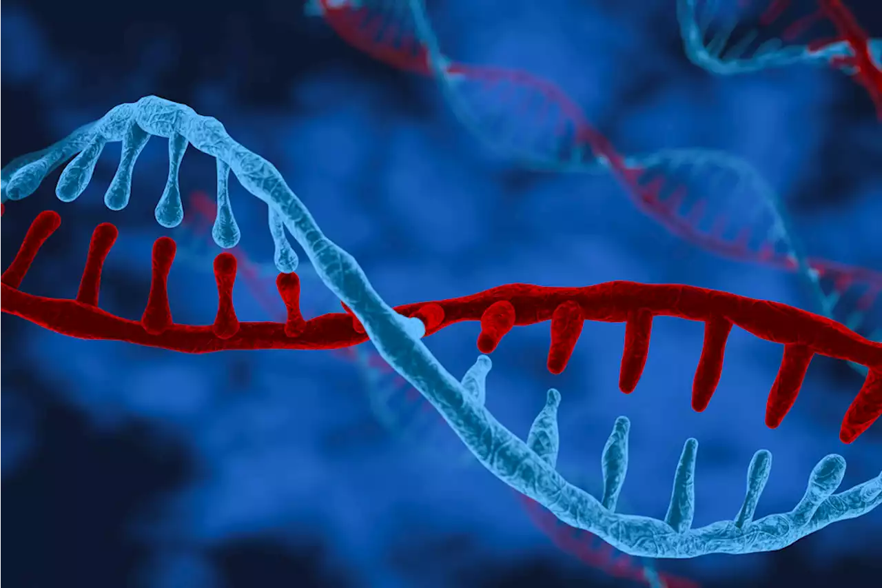 Scientists Have Finally Mapped the Entire Human Genome