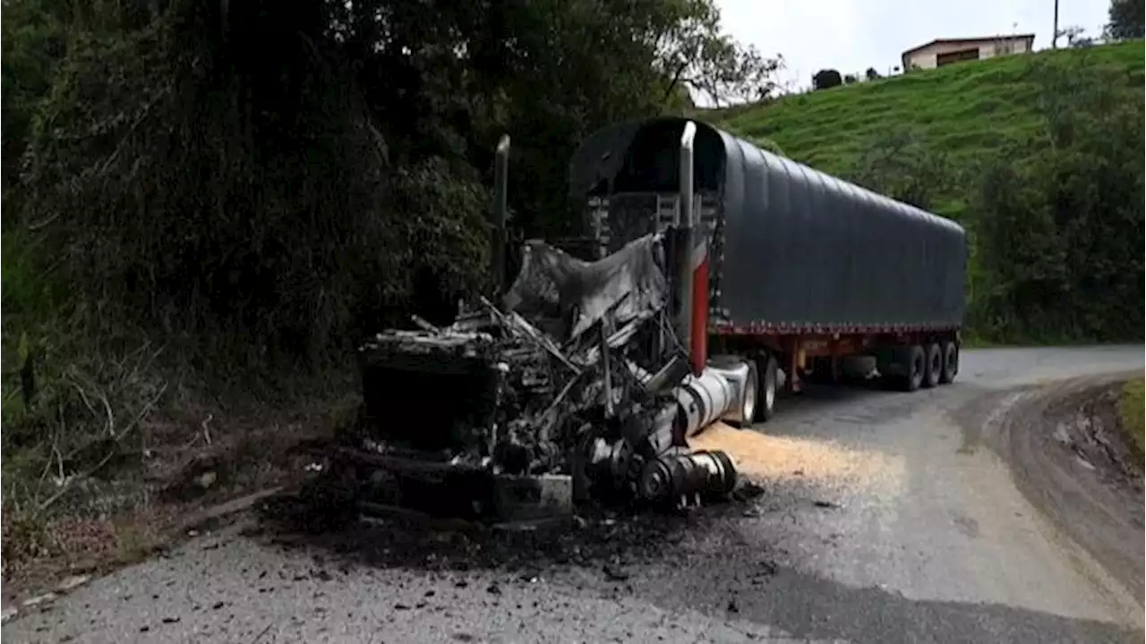 Clan del Golfo: ¿qué hubo detrás del paro armado?